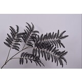 SILK-KA Feuille Branche Fougère Noir | 195cm SILK-KA Feuille Branche Fougère Noir | 195cm