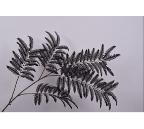 SILK-KA Foglia Ramo Felce Nera | 195 cm SILK-KA Foglia Ramo Felce Nera | 195 cm