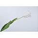 Silk-ka Tulp Steel Wit | 68 cm Silk-ka Tulp Steel Wit | 68 cm