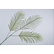 Silk-ka Bladtak Palm Groen | 112 cm Silk-ka Bladtak Palm Groen | 112 cm