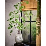Silk-ka Vert arbre | 153 cm