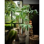 Silk-ka Plant Groen | 204 cm