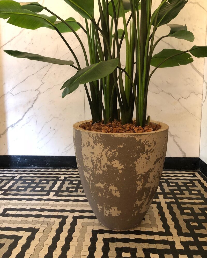 DOMANI NARA | Bianco-Grigio naturale