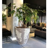 DOMANI NARA | Bianco-Grigio naturale DOMANI NARA | Bianco-Grigio naturale