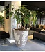 DOMANI NARA | Natural White-Grey