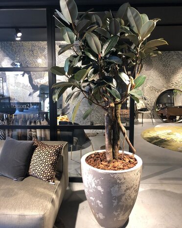 DOMANI NARA | Bianco-Grigio naturale