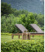GOMMAIRE Outdoor Meubels | Organic Living Tumbona Lisa con ruedas | Teca gris natural / Mimbre sintético color verde hierba antiguo