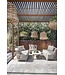 GOMMAIRE Outdoor Meubels | Organic Living Divano Carol a 1 posto | Teak grigio naturale