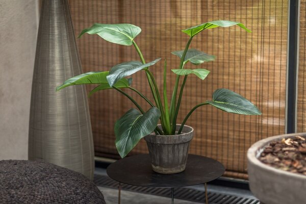 SILK-KA Alocasia Groen | 91 cm SILK-KA Alocasia Groen | 91 cm