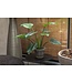 SILK-KA Alocasia Green | 91 cm
