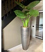 SILK-KA Alocasia grønn | 124 cm