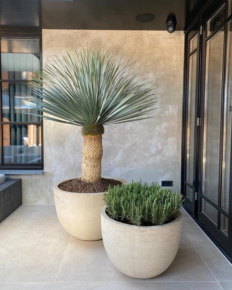 DOMANI TEXEL | Naturweiß 50 DOMANI TEXEL | Naturweiß 50