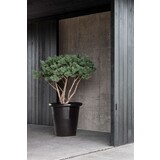 DOMANI LONDRA DOMANI LONDRA