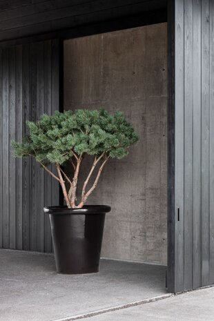 DOMANI LONDRA DOMANI LONDRA