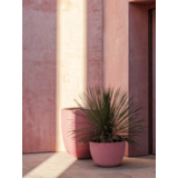 DOMANI AXEL | lillefinger