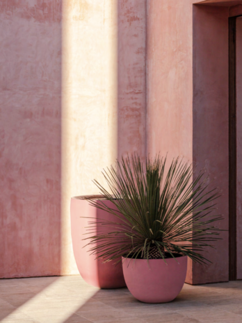 DOMANI AXEL | kleiner Finger DOMANI AXEL | kleiner Finger