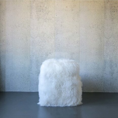 Evolution 21 Mongolei Pelz Weiß | Lehrstuhl Venedig Evolution 21 Mongolei Pelz Weiß | Lehrstuhl Venedig