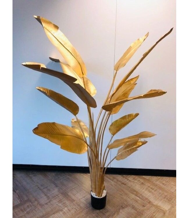 SILK-KA Or Strelitzia | 182cm