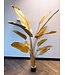 SILK-KA Or Strelitzia | 182cm