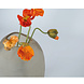Guaxs Vase Patara hoch | rauchgrau Guaxs Vase Patara hoch | rauchgrau