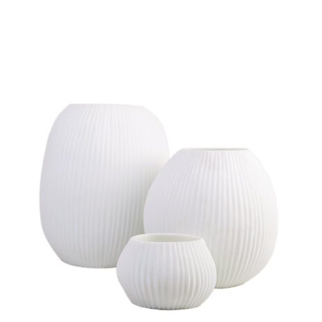 Guaxs Vaas Nagaa L | Opal Guaxs Vaas Nagaa L | Opal