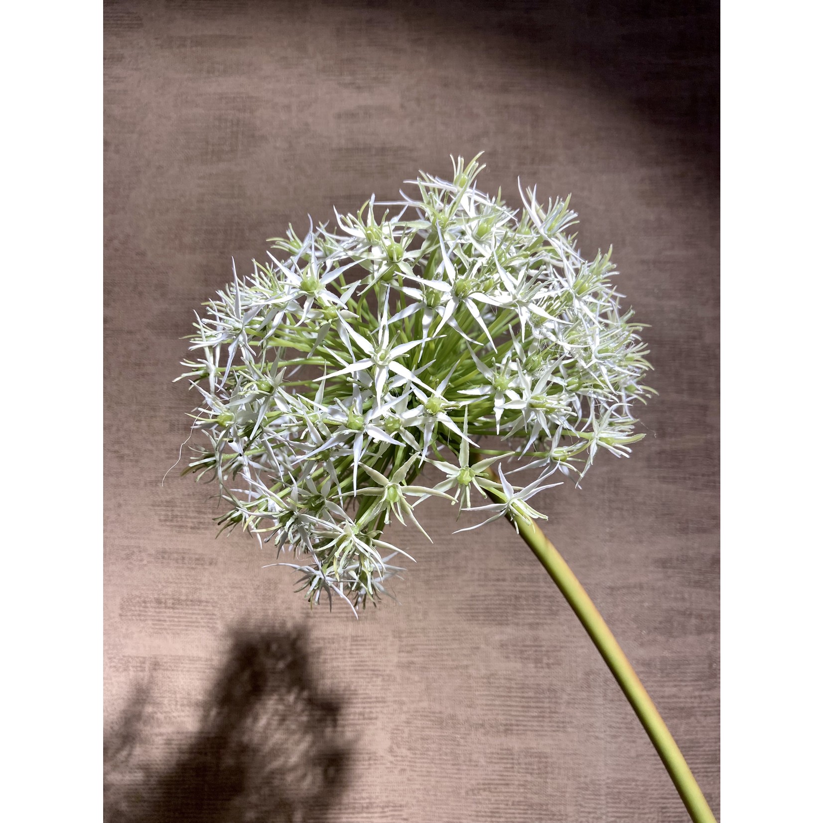 Silk-ka Allium Steel Wit | 104 cm
