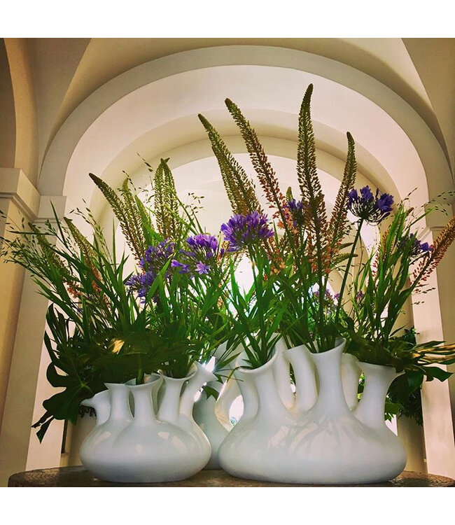POLDR Design Jelly-Vase | Mattweiß