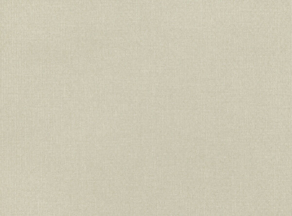 Mark Alexander Revestimientos de paredes tejidos a mano Paperweave | Latte Shifu Mark Alexander Revestimientos de paredes tejidos a mano Paperweave | Latte Shifu