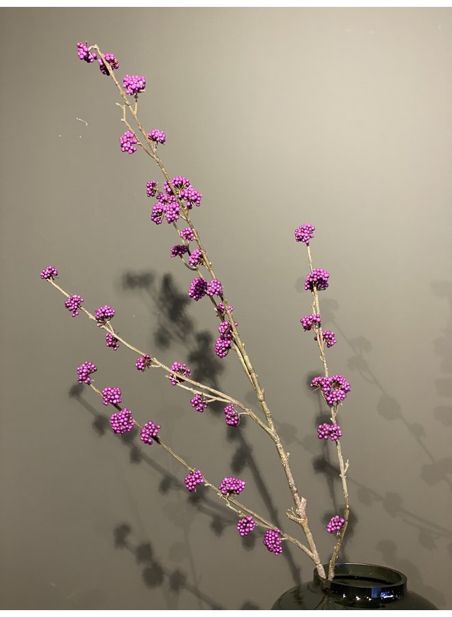 Callicarpa Tak Lavendel | 135 cm