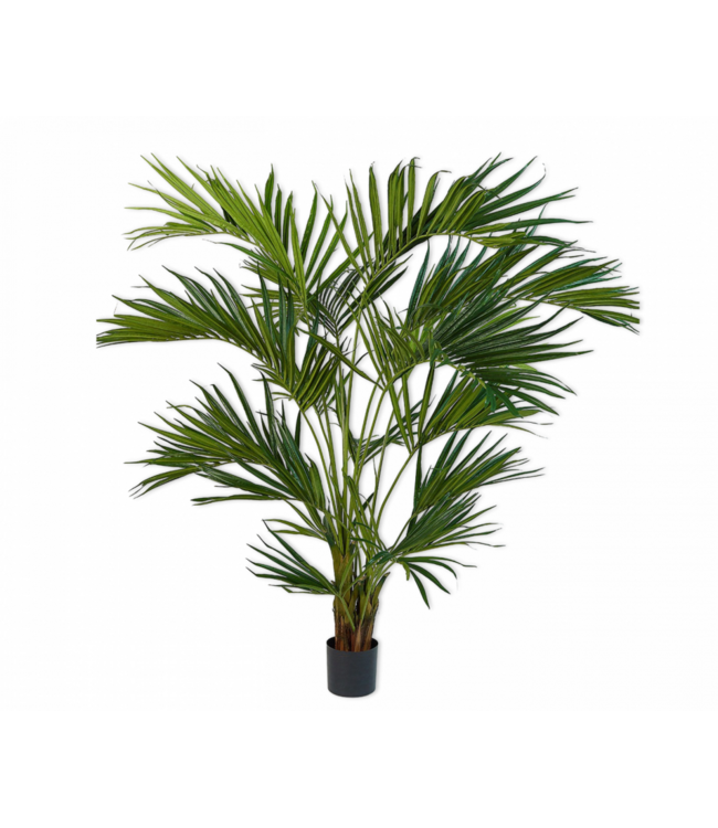 SILK-KA Verde Palma | 220cm
