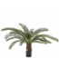 Plant Palm Groen | 50 cm