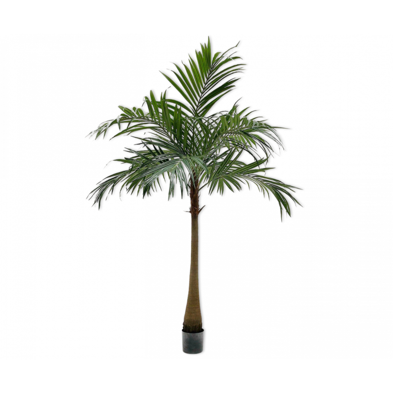Silk-ka Vert palmier | 190cm