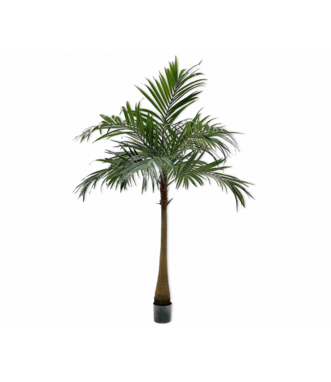 SILK-KA Palm Groen | 190 cm