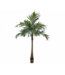 SILK-KA Palm Green | 190 cm
