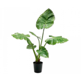 SILK-KA Alocasia Vert | 121 cm SILK-KA Alocasia Vert | 121 cm