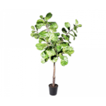 Silk-ka Ficus Green | 198 cm