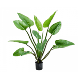 SILK-KA Alocasia Vert | 122 cm
