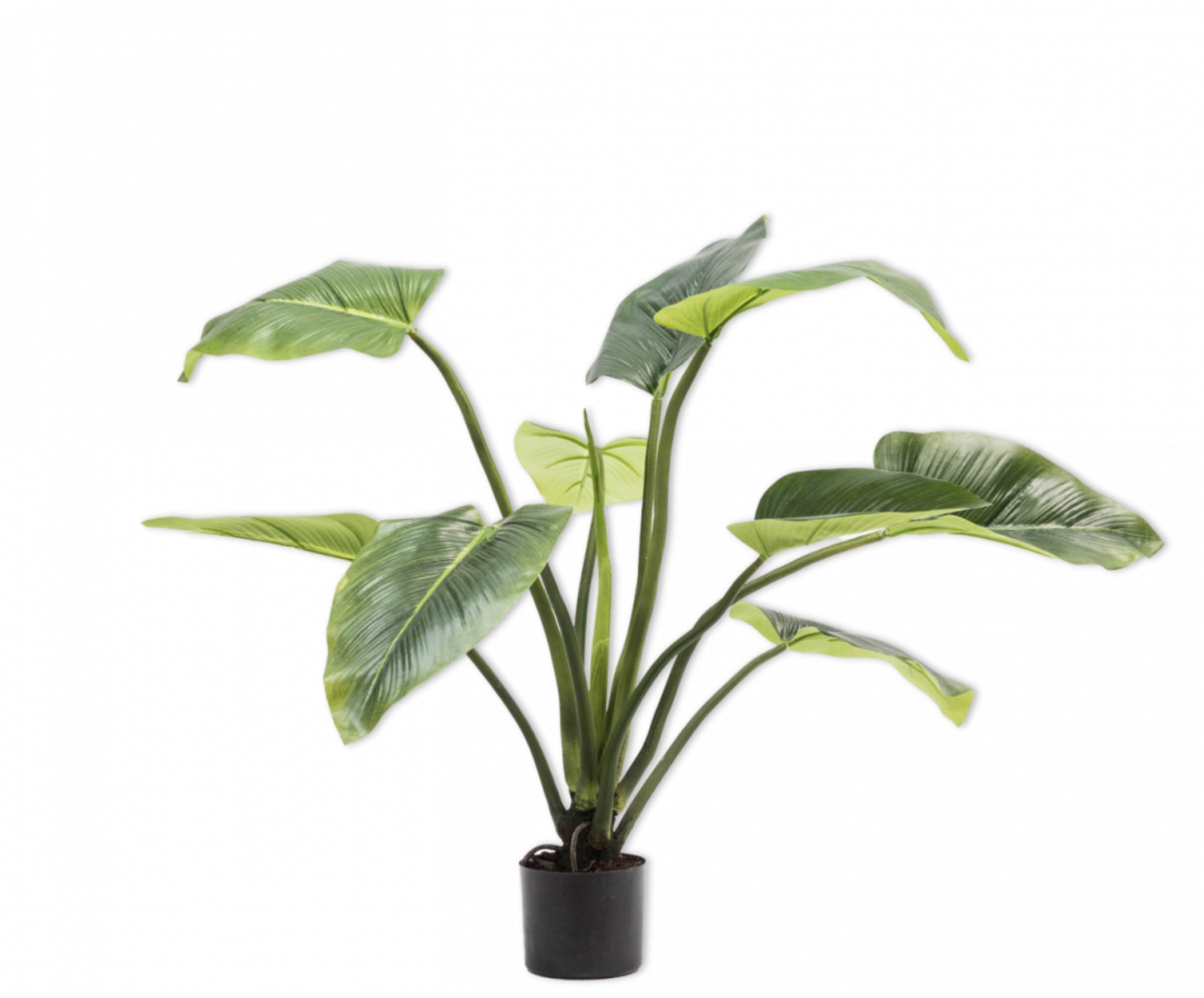SILK-KA Alocasia Grün | 91 cm SILK-KA Alocasia Grün | 91 cm