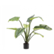 SILK-KA Alocasia Groen | 91 cm SILK-KA Alocasia Groen | 91 cm