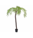 SILK-KA Felce Verde | 246cm