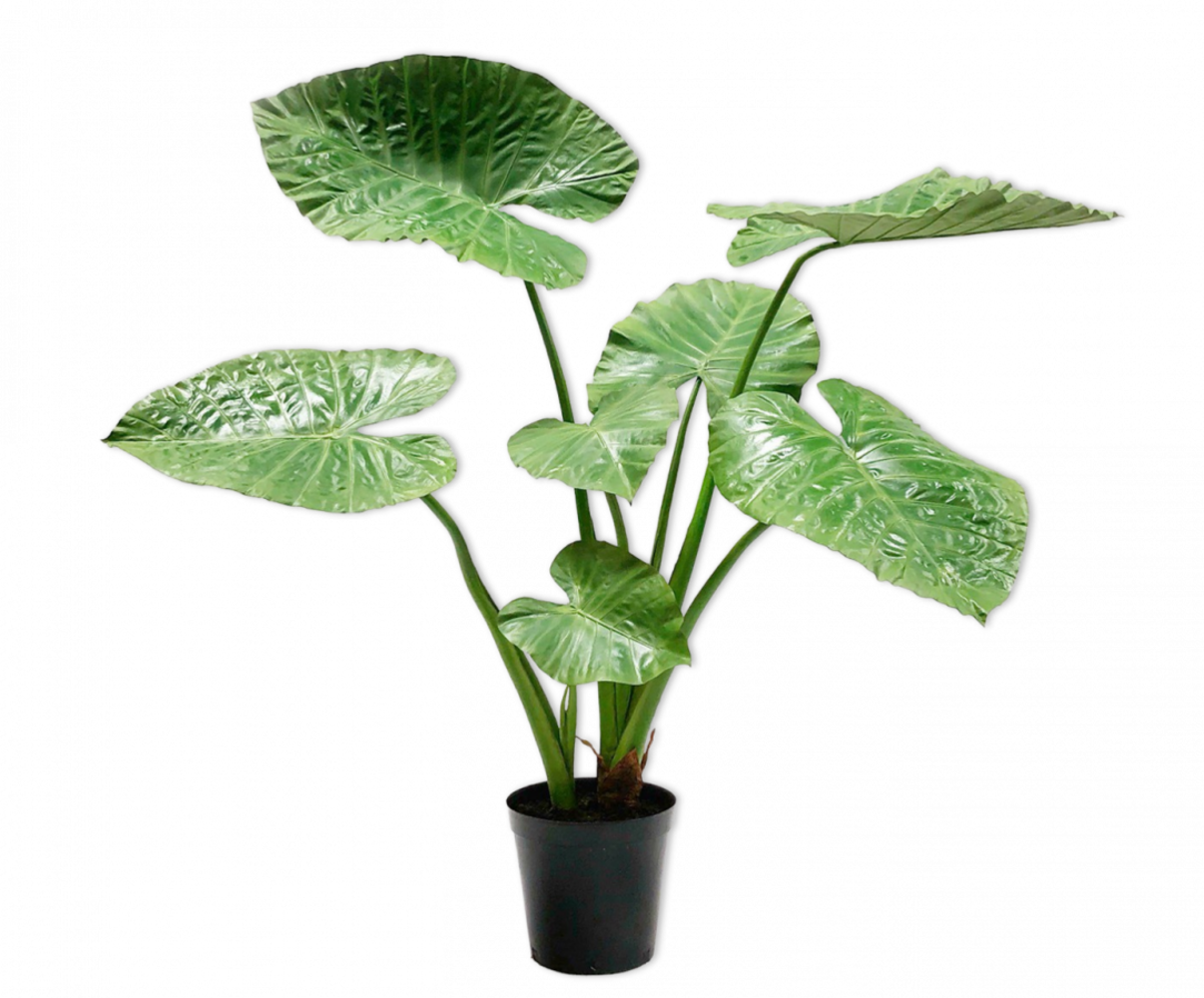 SILK-KA Alocasia Groen | 124 cm SILK-KA Alocasia Groen | 124 cm