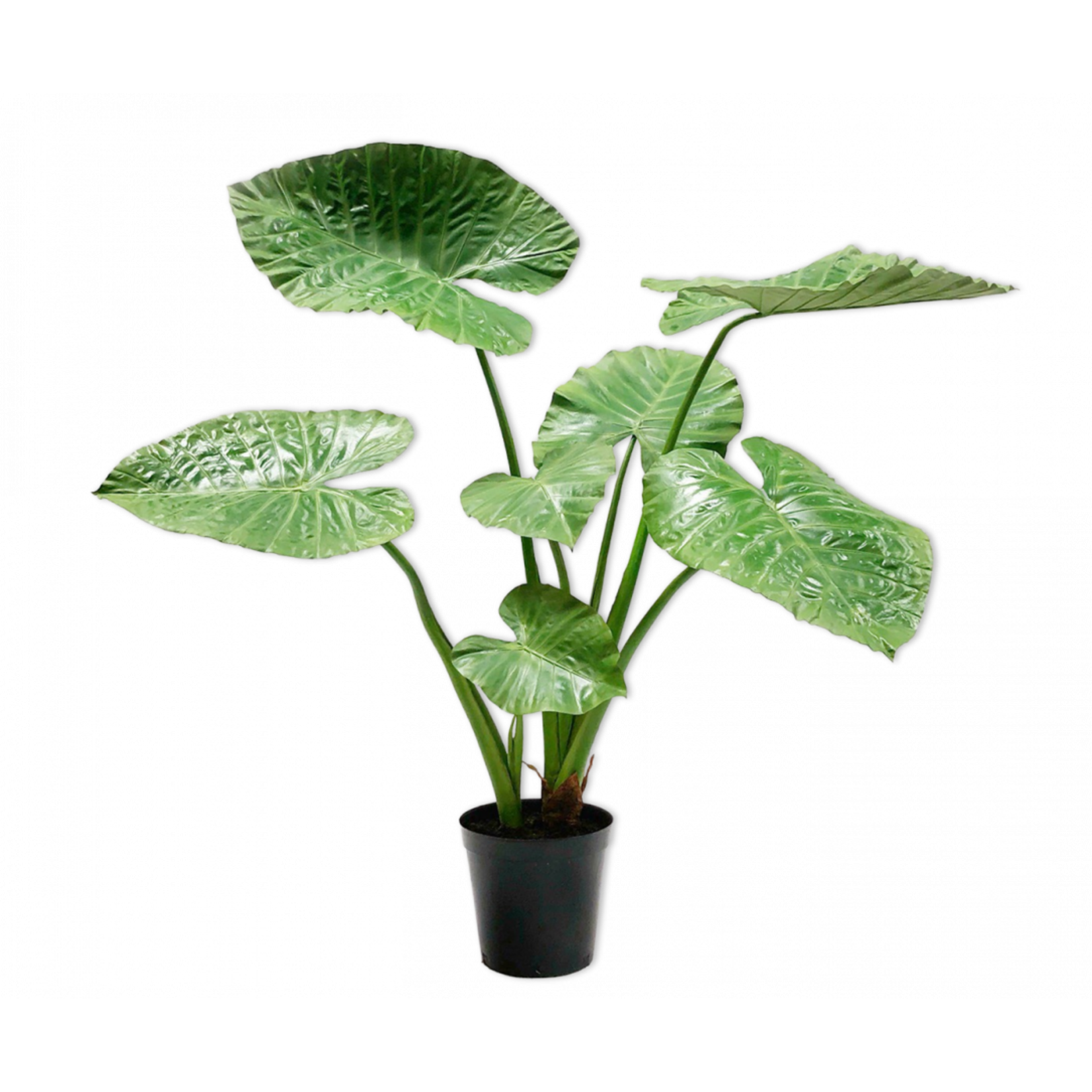 Silk-ka Alocasia Vert | 124 cm