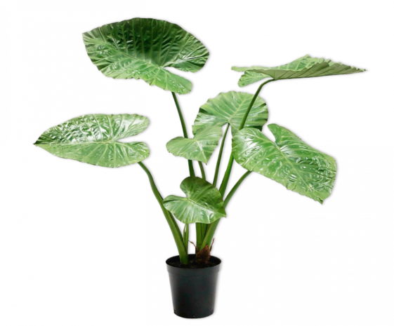 SILK-KA Alocasia Vert | 124 cm SILK-KA Alocasia Vert | 124 cm