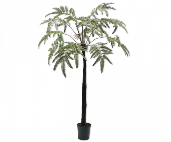 SILK-KA Felce Verde | 183cm SILK-KA Felce Verde | 183cm