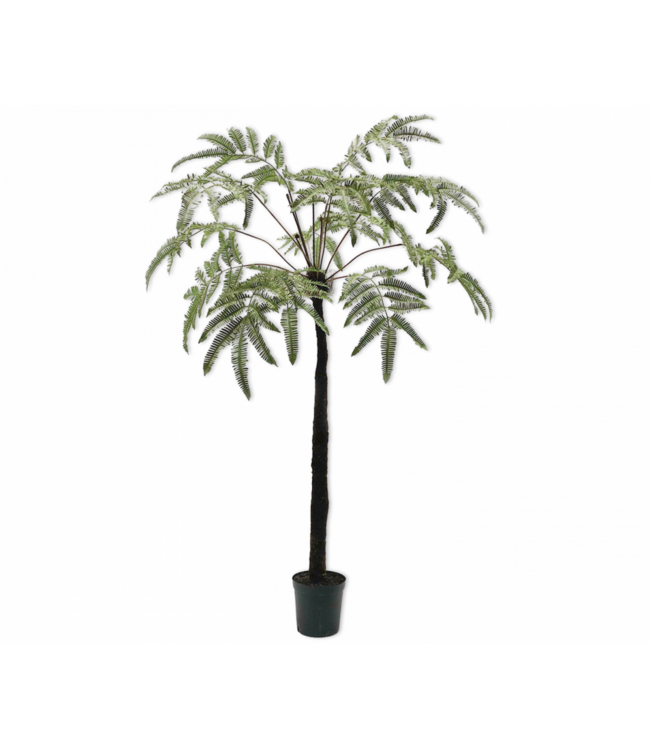 SILK-KA Varen Groen | 183 cm
