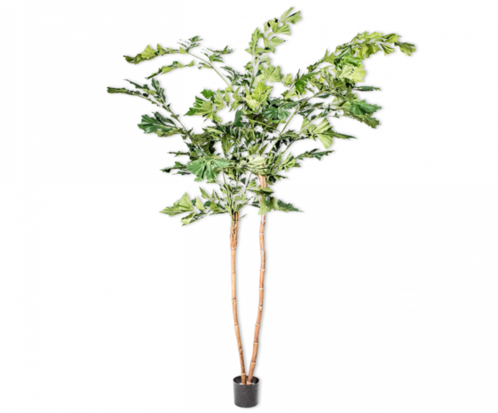 SILK-KA Palmgrün | 240 cm SILK-KA Palmgrün | 240 cm