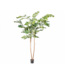 SILK-KA Verde Palma | 240cm
