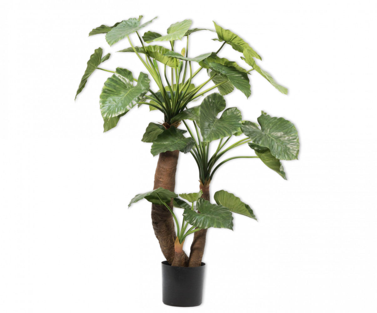 SILK-KA Verde Alocasia | 170cm SILK-KA Verde Alocasia | 170cm