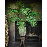 Silk-ka Palmengrün | 152cm