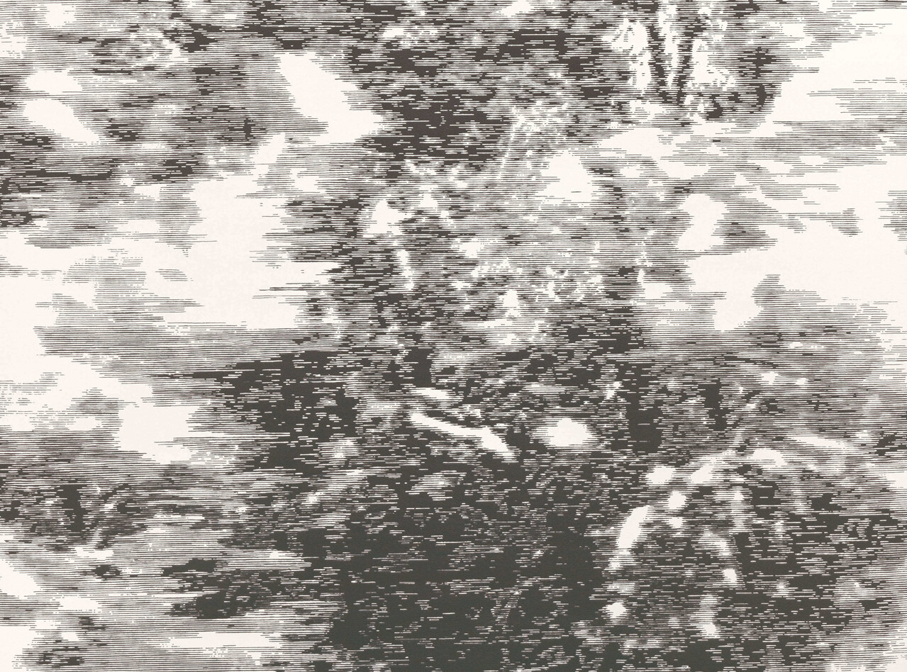 Black Edition Revêtements muraux Mizumi | Avocette Mitoku Black Edition Revêtements muraux Mizumi | Avocette Mitoku